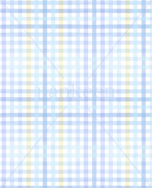 GINGHAM PRINT - 22_20013_TXT